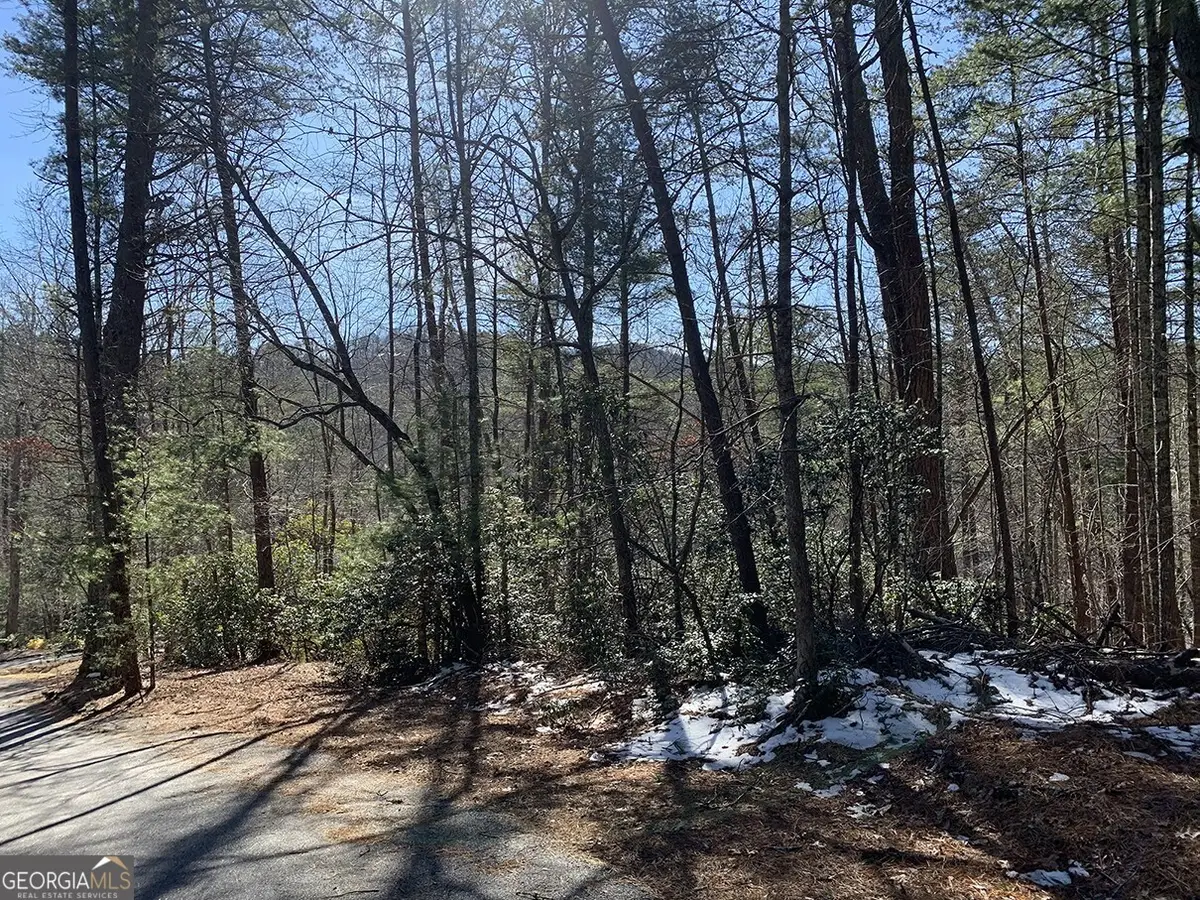 0 Pinecrest Road, Sautee Nacoochee, GA 30571 - Image #1