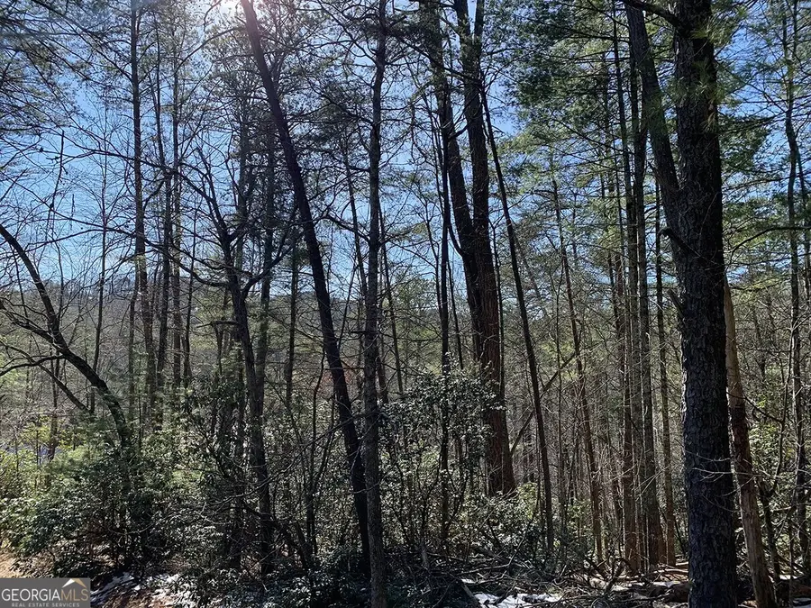 0 Pinecrest Road, Sautee Nacoochee, GA 30571 - Image #2