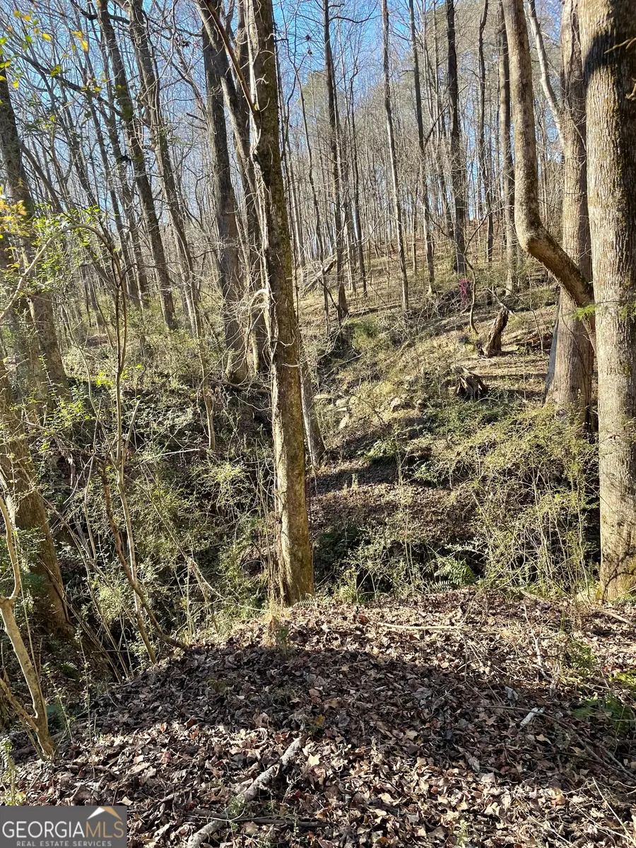 0 Barton Bridge Road #LOT 1, Monroe, GA 30655 - Image #3