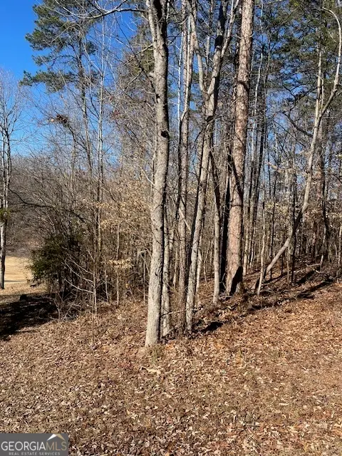 506 Chickasaw Drive, Westminster, SC 29693