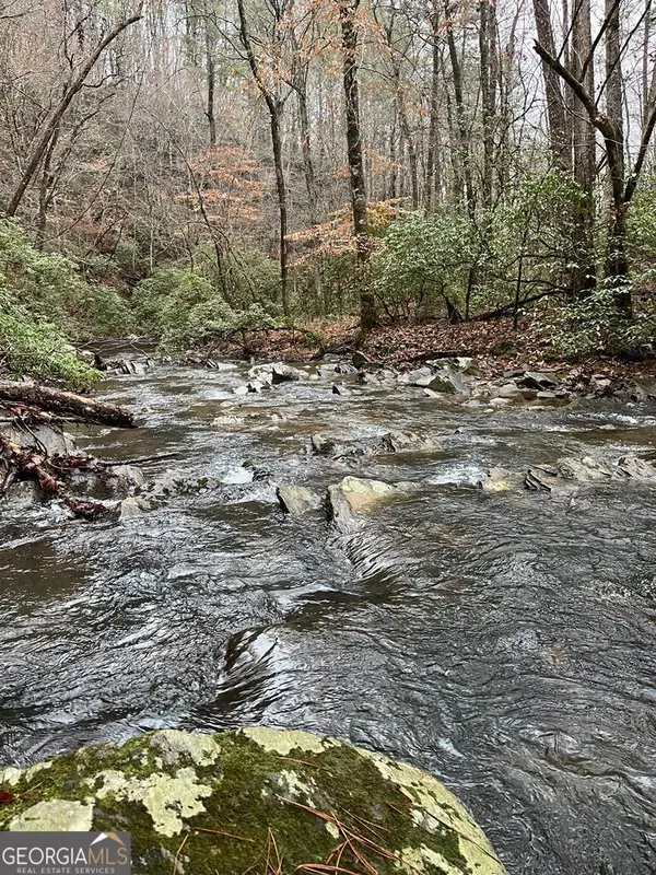 1551 Dorian Court, Ranger, GA 30734