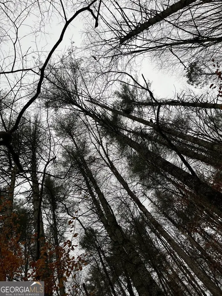 1551 Dorian Court, Ranger, GA 30734 - Image #3