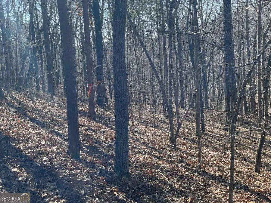 01 Old Federal Road, Ellijay, GA 30540 - Image #3