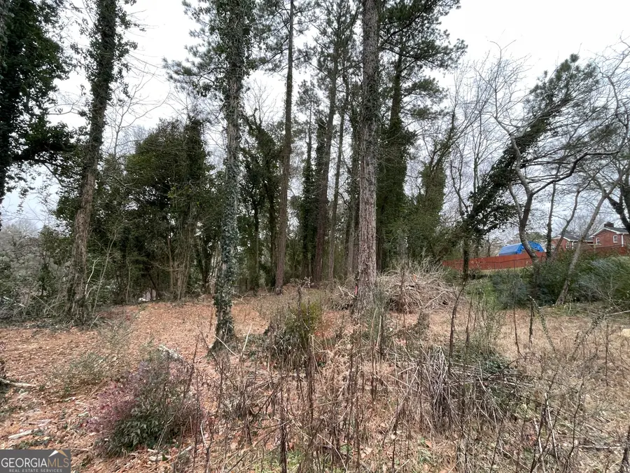 0 Carrington Place, Rome, GA 30161 - #3