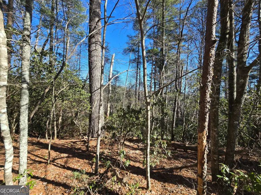 45K Blue Ridge, Sautee Nacoochee, GA 30571 - Image #3