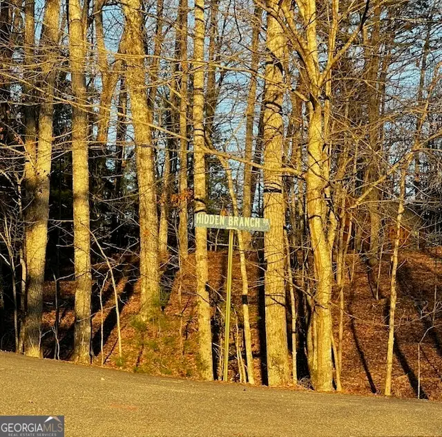 LOT 18 Hidden Branch, Young Harris, GA 30582 - Image #1