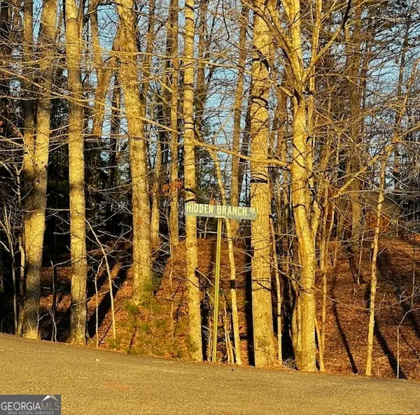 LOT 18 Hidden Branch, Young Harris, GA 30582