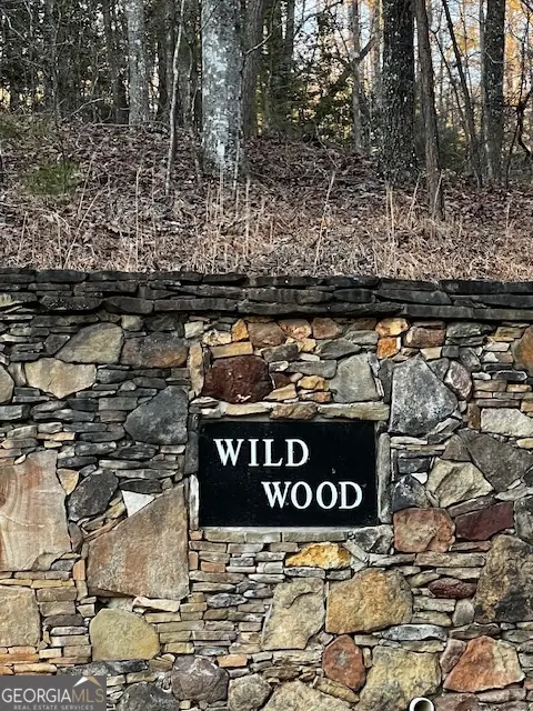 LOT 18 Hidden Branch, Young Harris, GA 30582 - Image #2