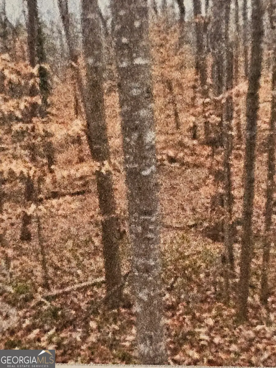 0 Stillwater Cove #123, Lavonia, GA 30553 - Image #2