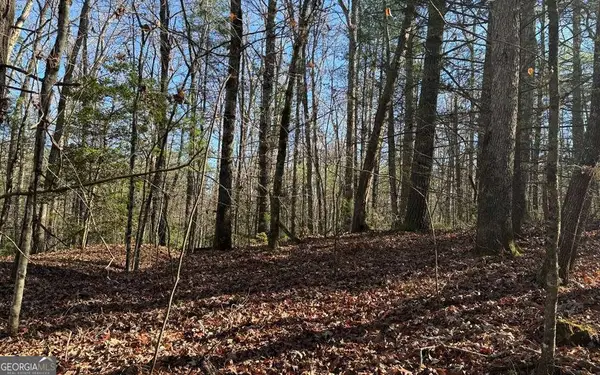 0 Mill Creek Acres, Blue Ridge, GA 30513