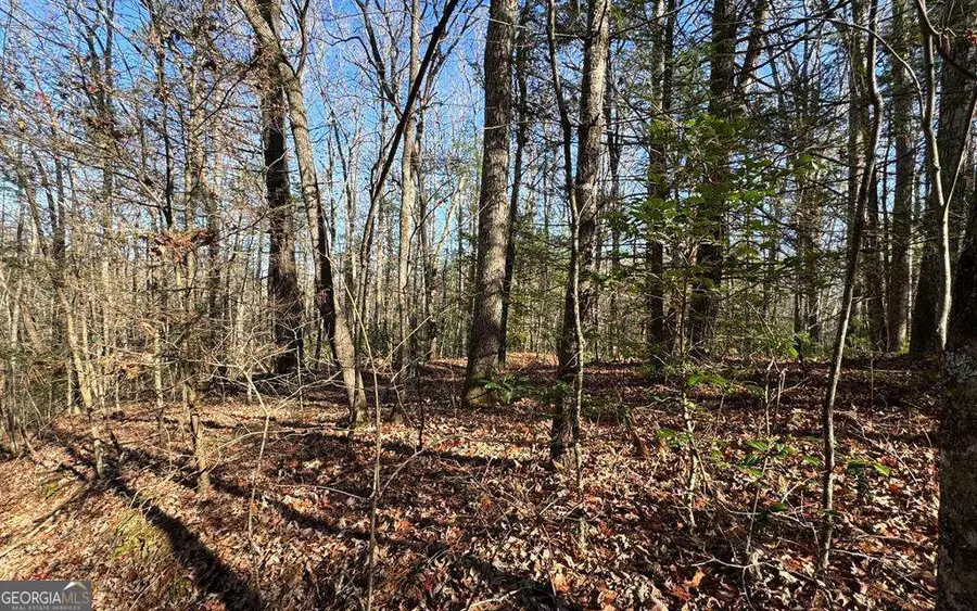 0 Mill Creek Acres, Blue Ridge, GA 30513 - Image #2