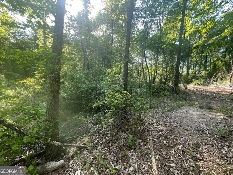 785 Aj Irvin, Talmo, GA 30575 - Image #2