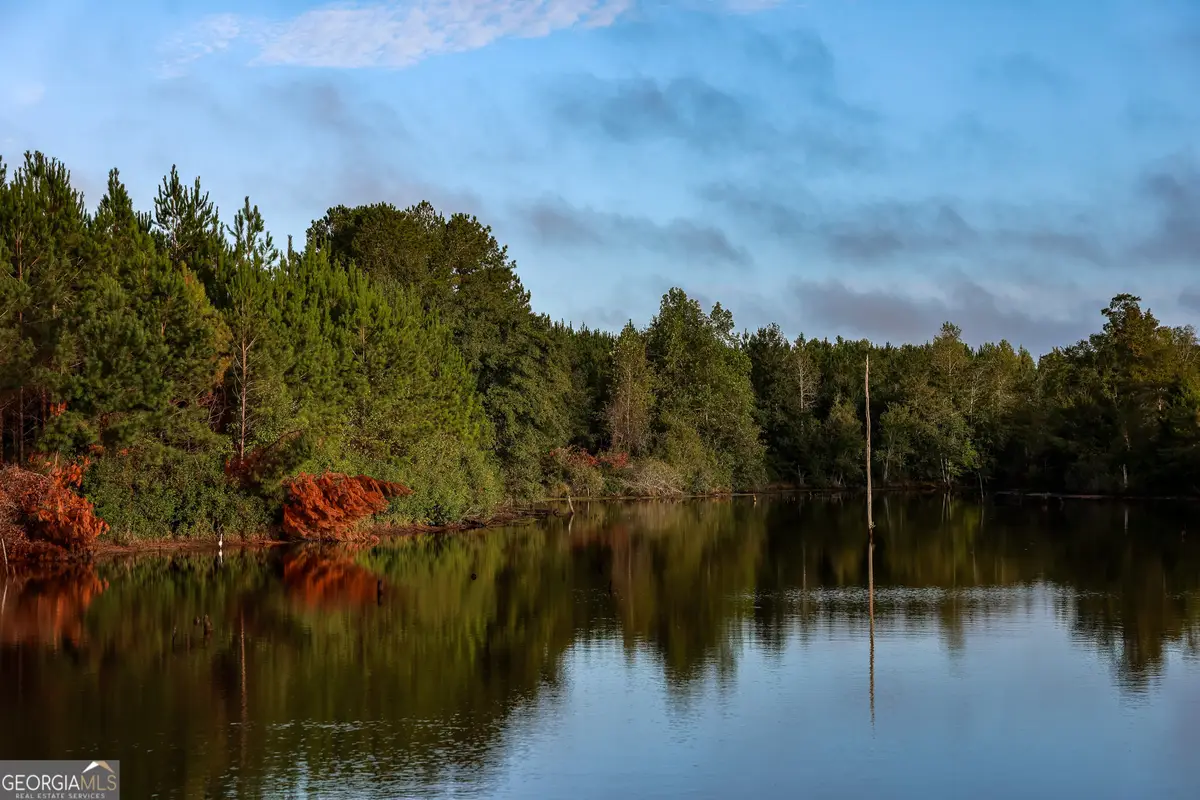 652 ACRES Ga Hwy 45 S, Americus, GA 31719 - Image #1