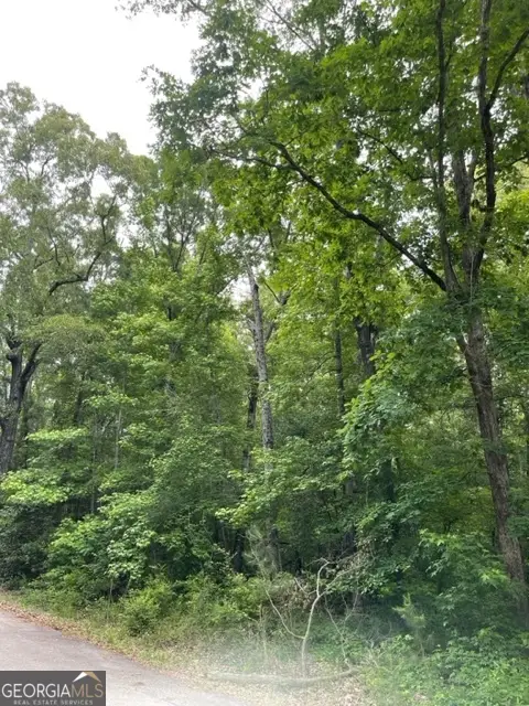 0 Napier Drive, Eatonton, GA 31024 - Image #2