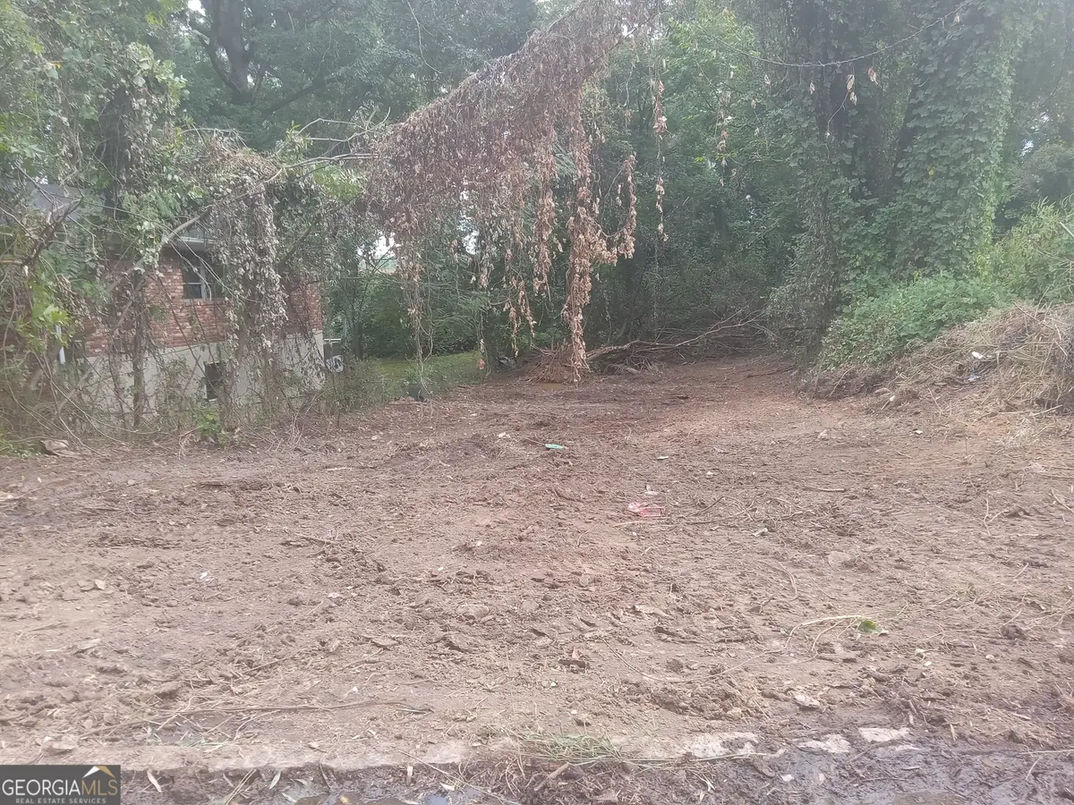 2756 3rd Avenue Sw, Atlanta, GA 30315 - Image #1