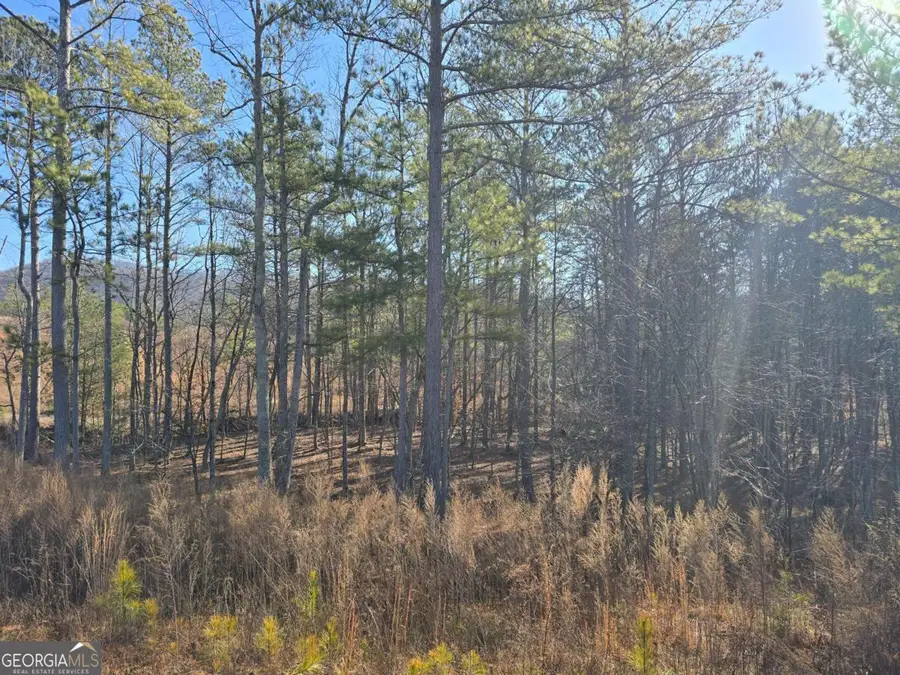 0 Highgrove Drive, Talking Rock, GA 30175 - #3