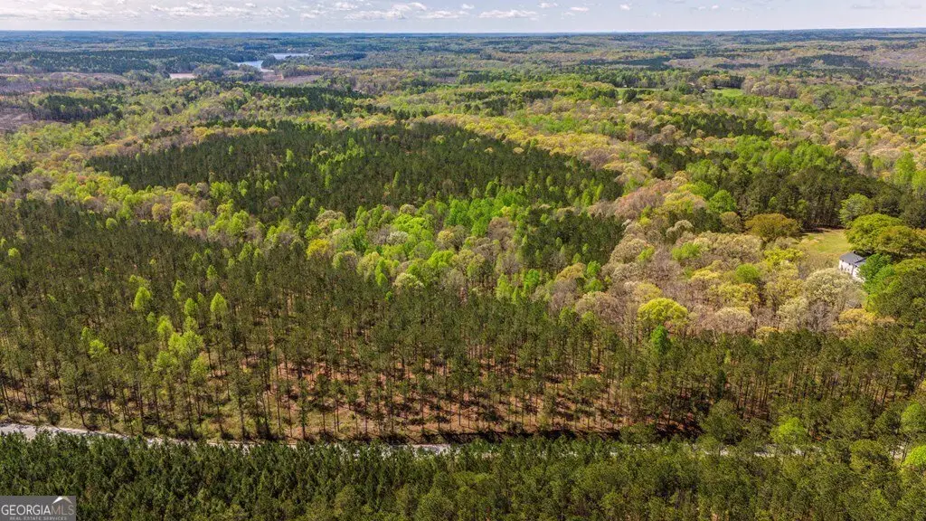 TRACT 9 Horsley Mill Road, Carrollton, GA 30116 - #1