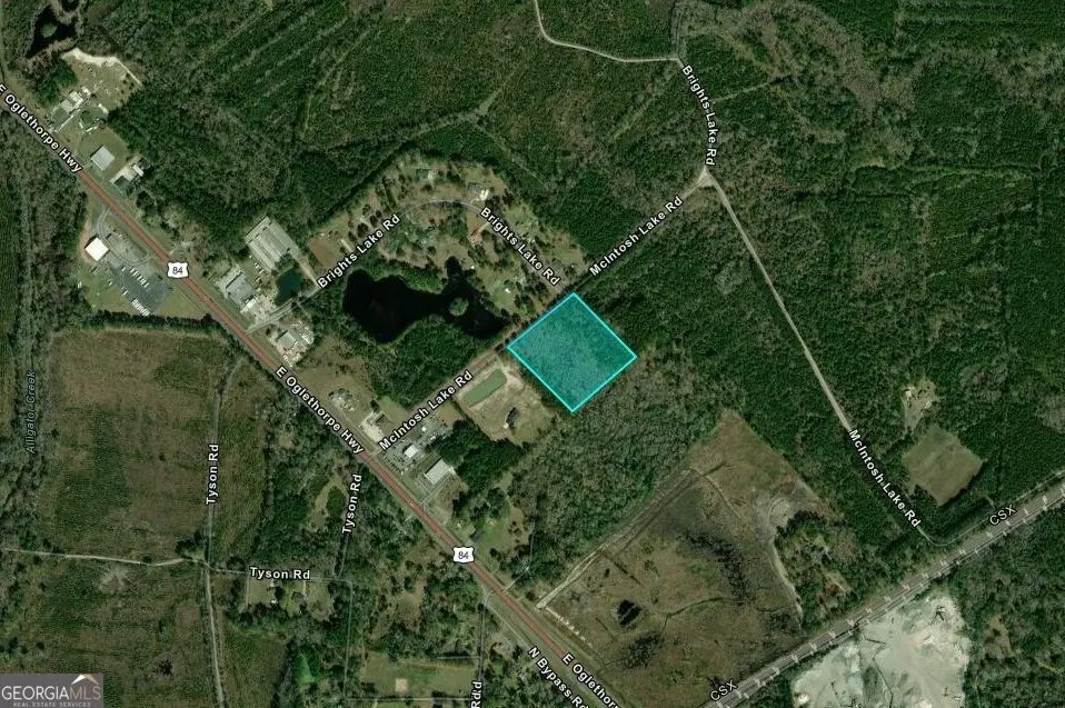 6.18 ACRES Mcintosh Lake Road, Hinesville, GA 31313 - Image #1