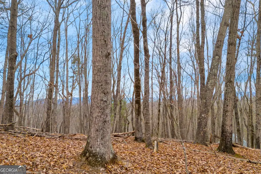 0 Douglas Fir Drive, Cleveland, GA 30528 - Image #3