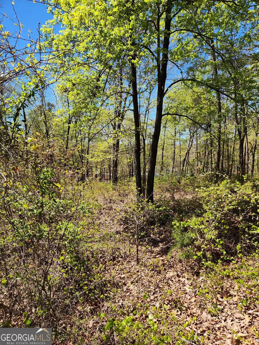 0 Crawfords Ferry Point, Hartwell, GA 30643 - Image #2