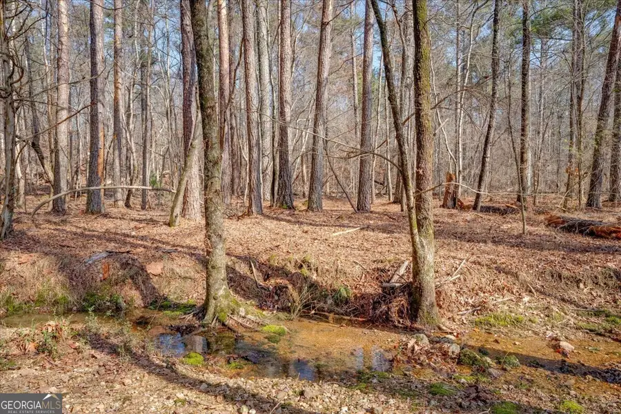 0 John Kay Road, Taylorsville, GA 30178 - Image #3