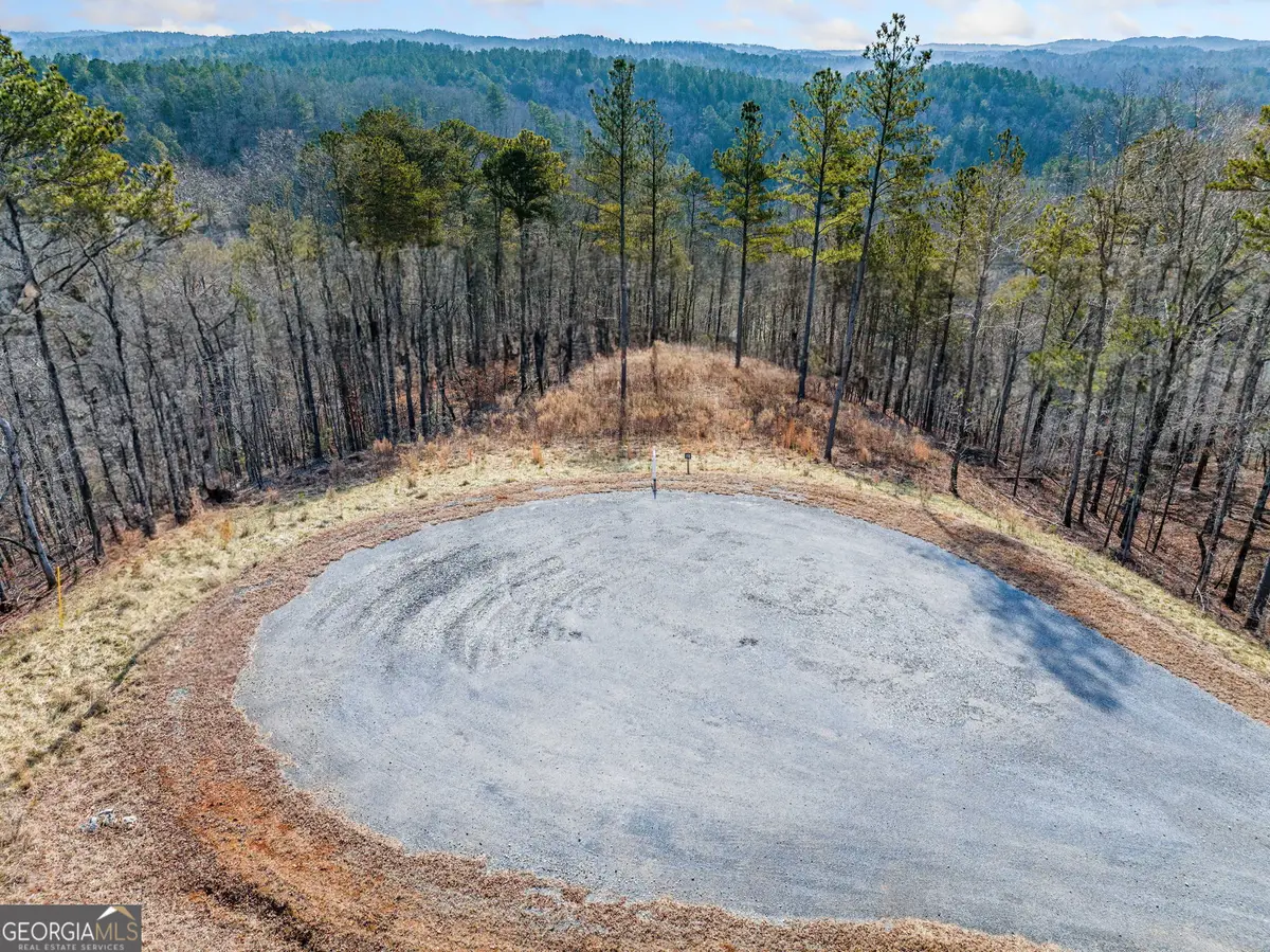 198 Blalock Mountain Crt, Ellijay, GA 30540 - #1