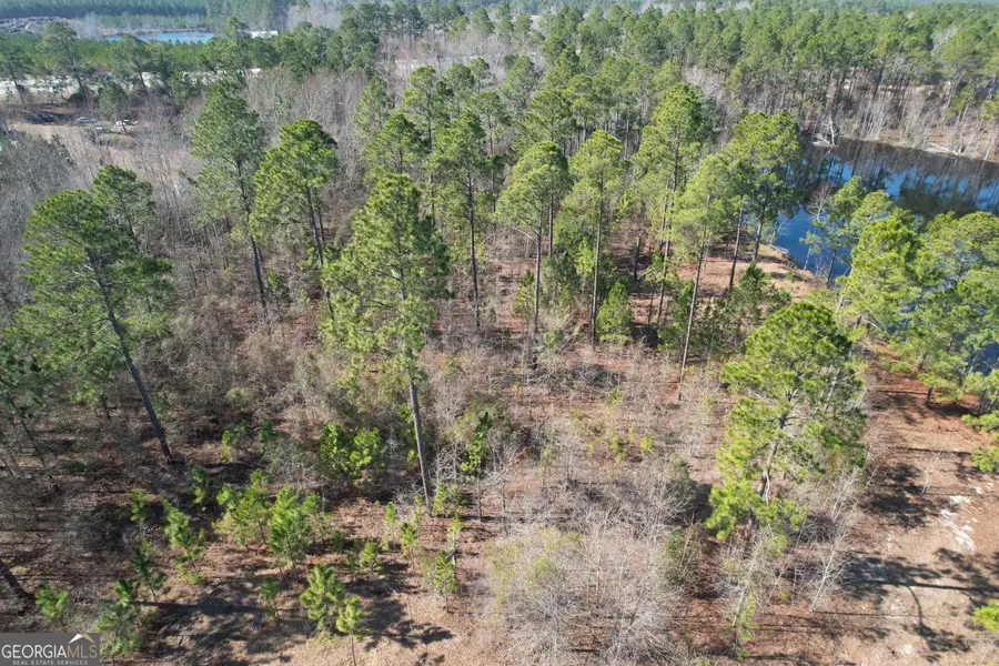 2 Chop Road, Portal, GA 30450 - Image #3