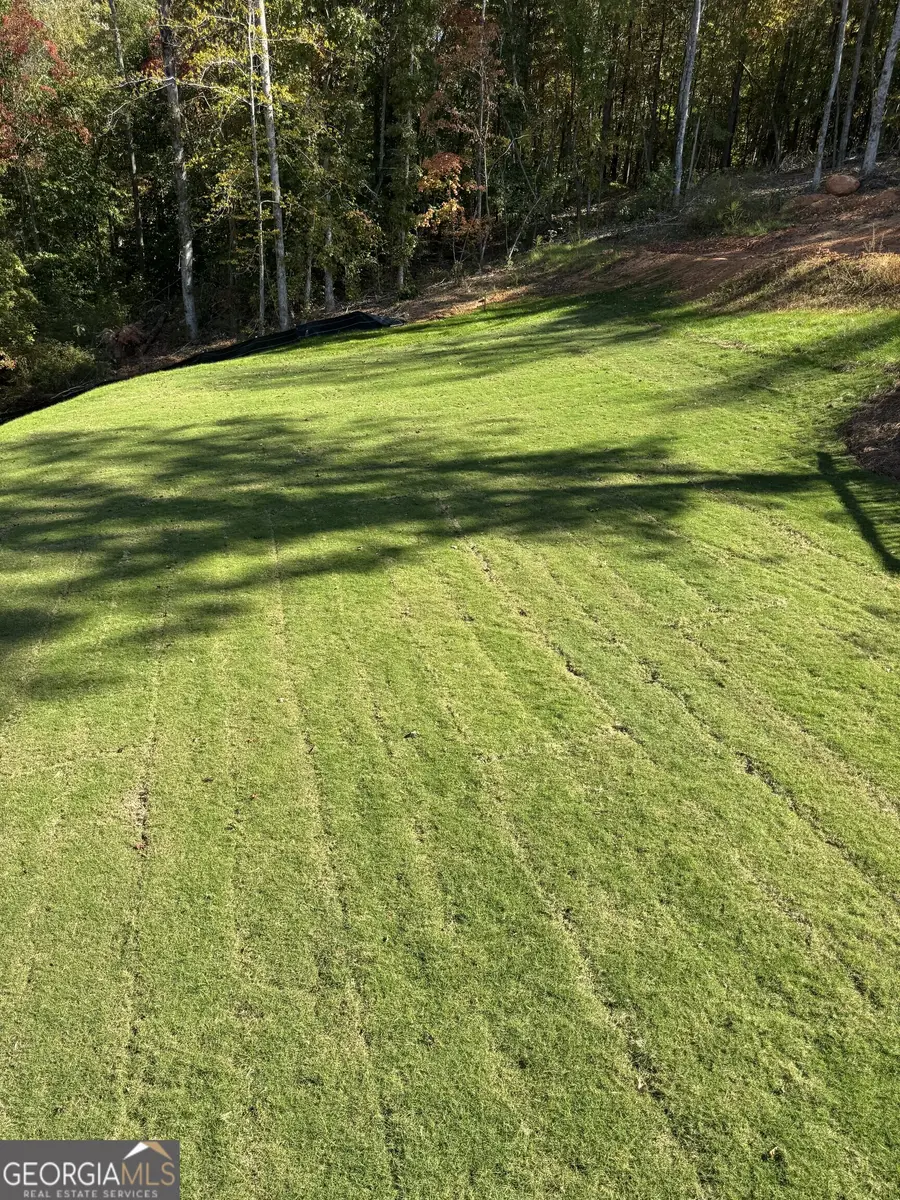 105 Eryn Terrace, Covington, GA 30014 - Image #2