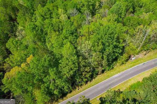 LOT 1 Old Copelan Road, Eatonton, GA 31024 - Image #2