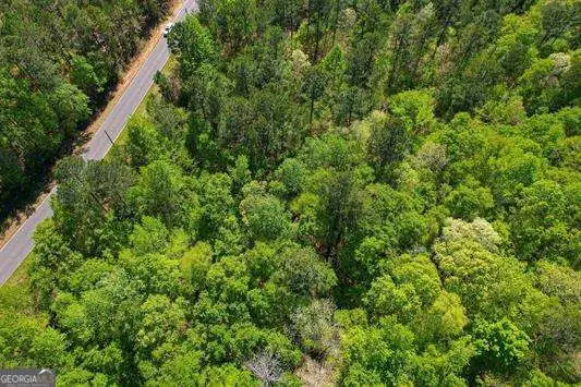 LOT 2 Old Copelan Road, Eatonton, GA 31024 - Image #2