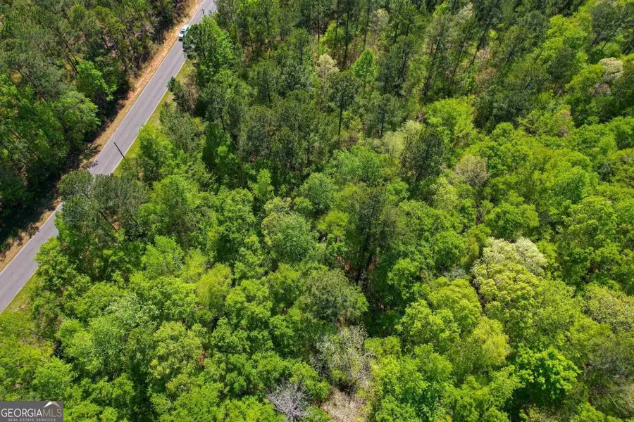 LOT 11 Old Copelan Road, Eatonton, GA 31024 - Image #2