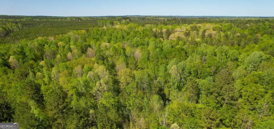 LOT 11 Old Copelan Road, Eatonton, GA 31024 - Image #3