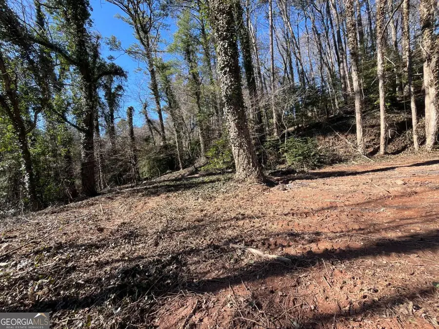 59 Bradley Street, Blue Ridge, GA 30513 - Image #2