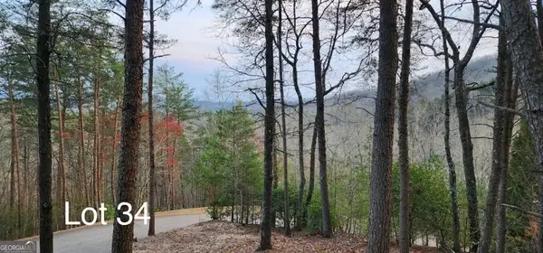 34 Wilderness Creek Way, Murphy, NC 28906