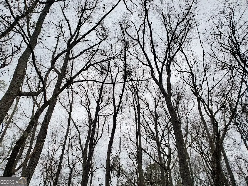 0 Mcghee Road, Sparta, GA 31087 - Image #2