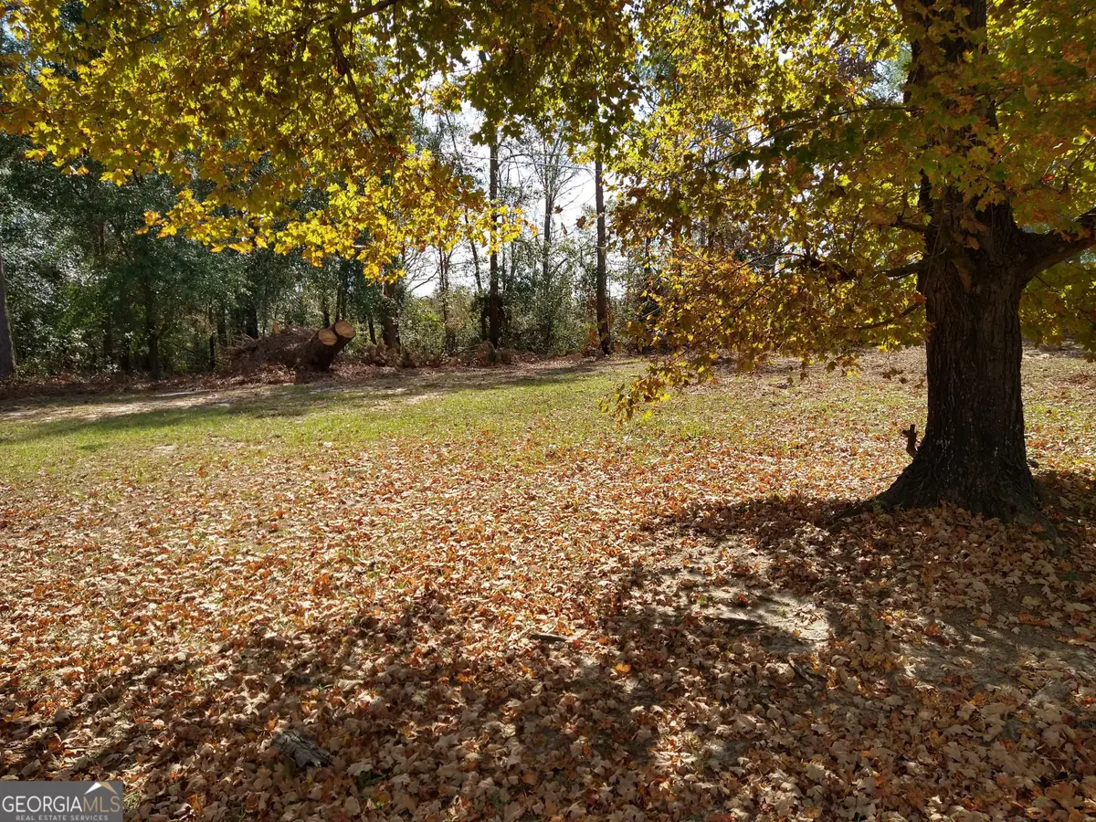 0 W Hwy 24, Bartow, GA 30413 - Image #1