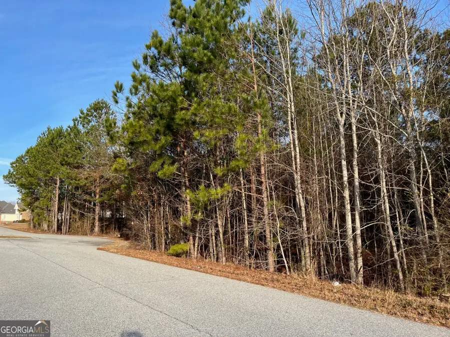 132 Tobee Drive, Lizella, GA 31052 - Image #3