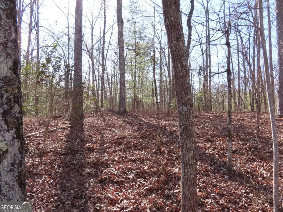 LOT 1906 Finale Street, Talking Rock, GA 30175 - Image #1