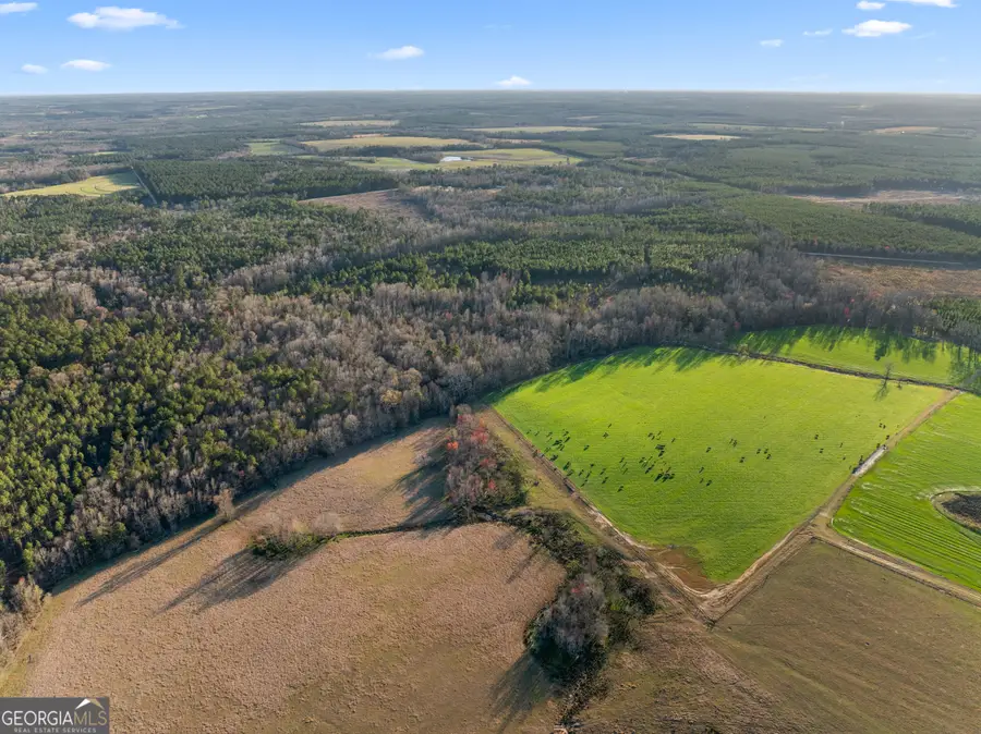 0 Thomas Road, Millen, GA 30442 - Image #2