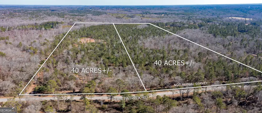 0 Dean Patrick Road, Jackson, GA 30233 - Image #3