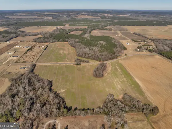 0 Williams Circle, Elko, GA 31025