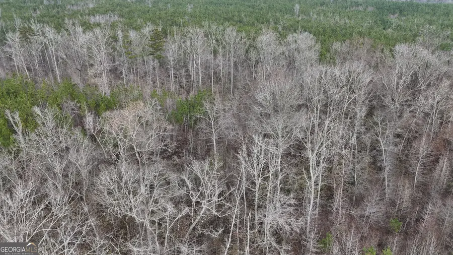 1786 Andrews Road, Warrenton, GA 30828 - Image #3