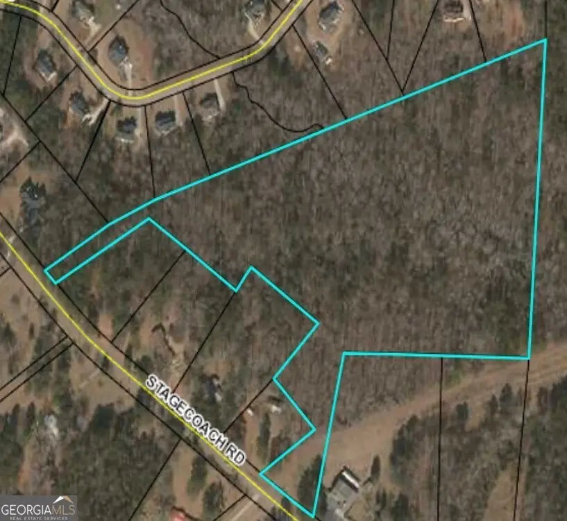 0 Stagecoach Road #20.17 ACRES, Stockbridge, GA 30281 - #1
