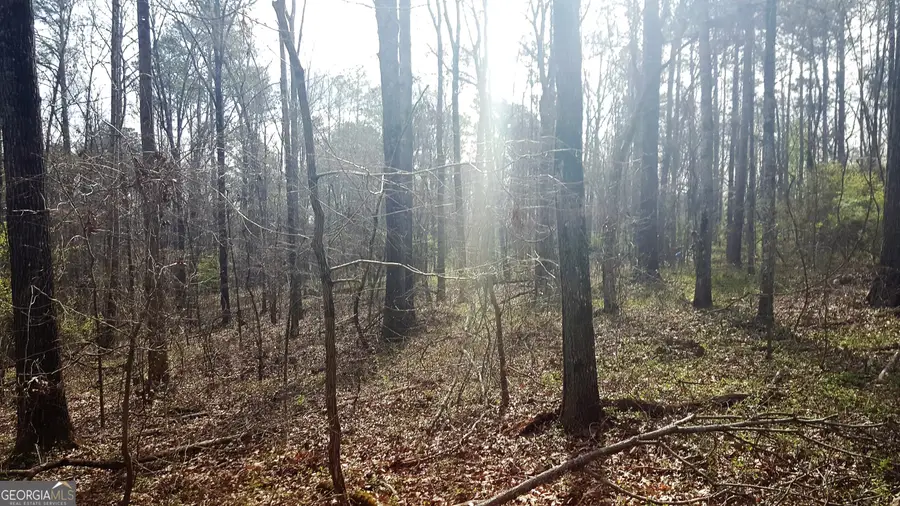 0 Stagecoach Road #20.17 ACRES, Stockbridge, GA 30281 - #2