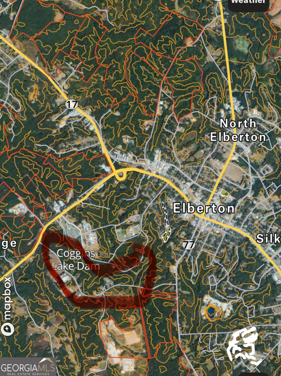 0 Mineral Springs Road, Elberton, GA 30635 - Image #3