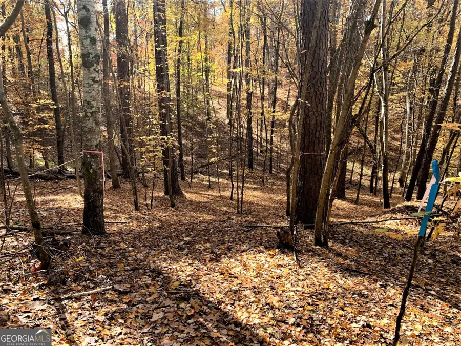 1520 Snug Harbor Drive, Greensboro, GA 30642 - #2