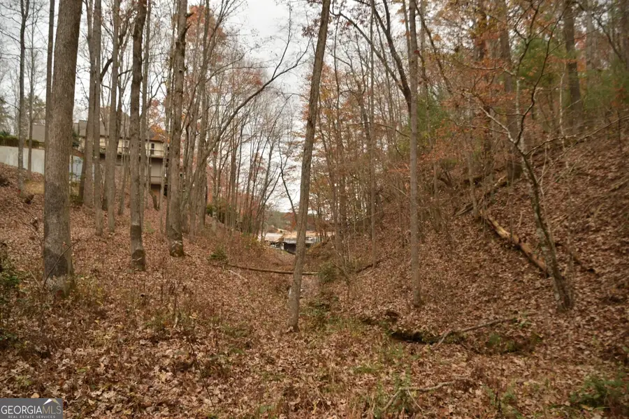 0 Arrowood Court, Blairsville, GA 30512 - Image #2