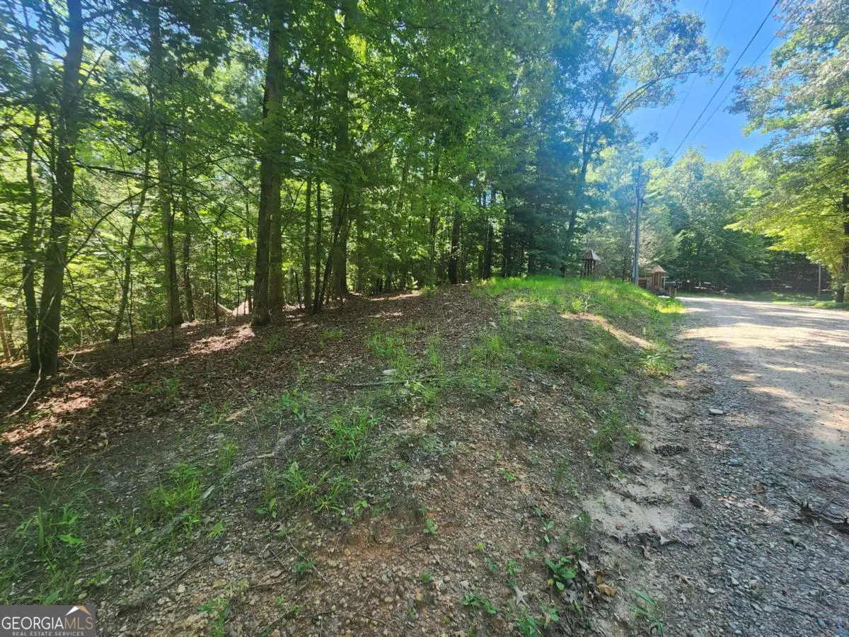 LOT 3 Meadow View Drive #3, Morganton, GA 30560 - Image #1