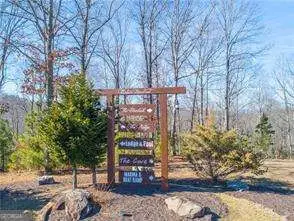 238 The Cove At Thirteen Hundred #LOT 238, Blairsville, GA 30512 - Image #3