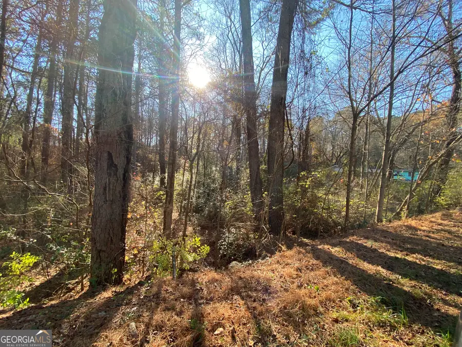 085 Belletta Drive, Canton, GA 30114 - Image #3